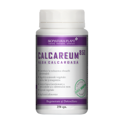 Calcareum 850