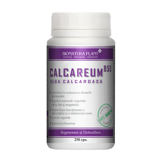 Calcareum 850