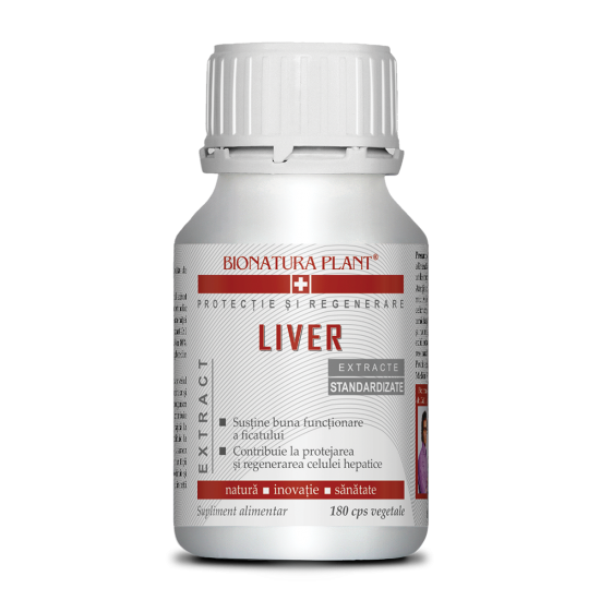 Liver